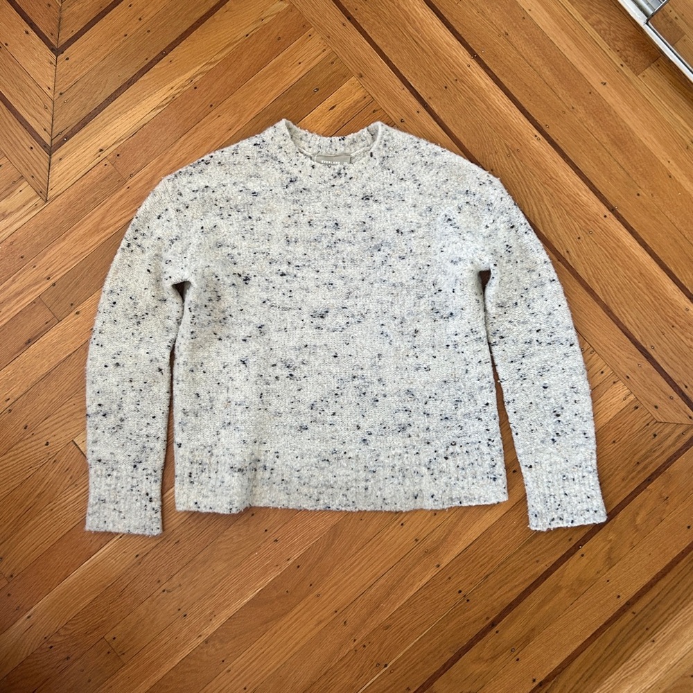 Everlane Merino Wool Confetti Crewneck Sweater XXS XS Womens